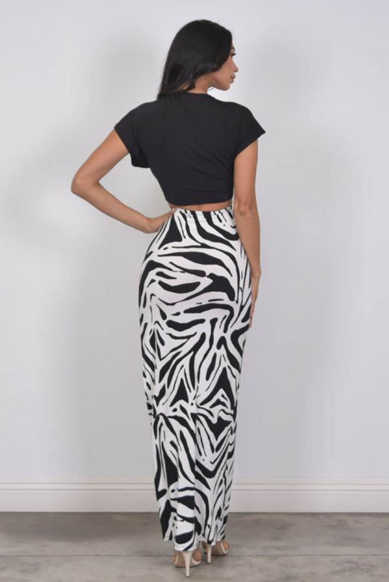 Zebra Maxi Skirt Set