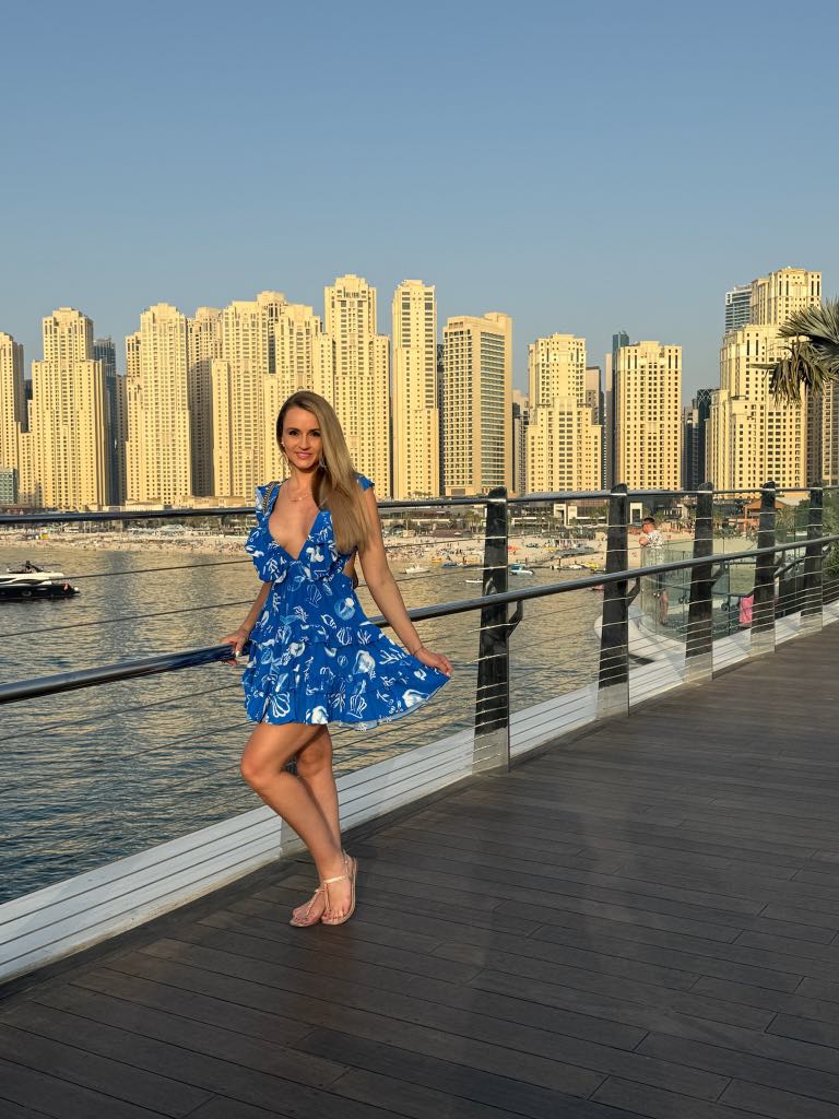 Plunge Low Back Mini Dress